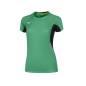 MIZUNO PREMIUM JPN TEE WOS