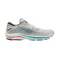 MIZUNO WAVE RIDER 25 Mushroom Black Ignition