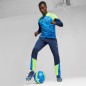 PUMA FUTURE PRO FG/AG Persian Blue-PUMA White-Pro Green