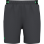 UNDER ARMOUR VANISH WOVEN 6IN SHORTS