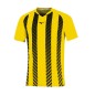 MIZUNO SHIMIZU GAME SHIRT