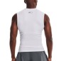 UNDER ARMOUR HeatGear COMPRESSION SL White / Black