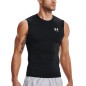 UNDER ARMOUR HeatGear COMPRESSION SL Black / White